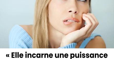 Lorsquune araignee visite votre maison en voici lexplication.jpg