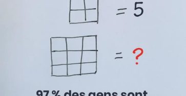 Test de concentration saurez vous retrouver toutes les cases