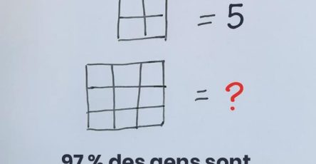 Test de concentration saurez vous retrouver toutes les cases