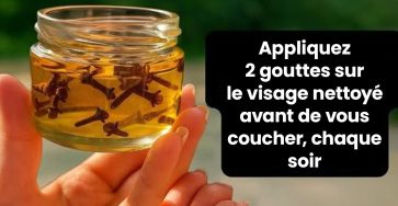 558367122 1227363762761530 4733903982121554423 n