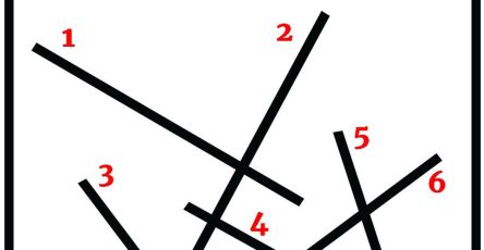 573313262 1250466903784549 1273913529933601136 n
