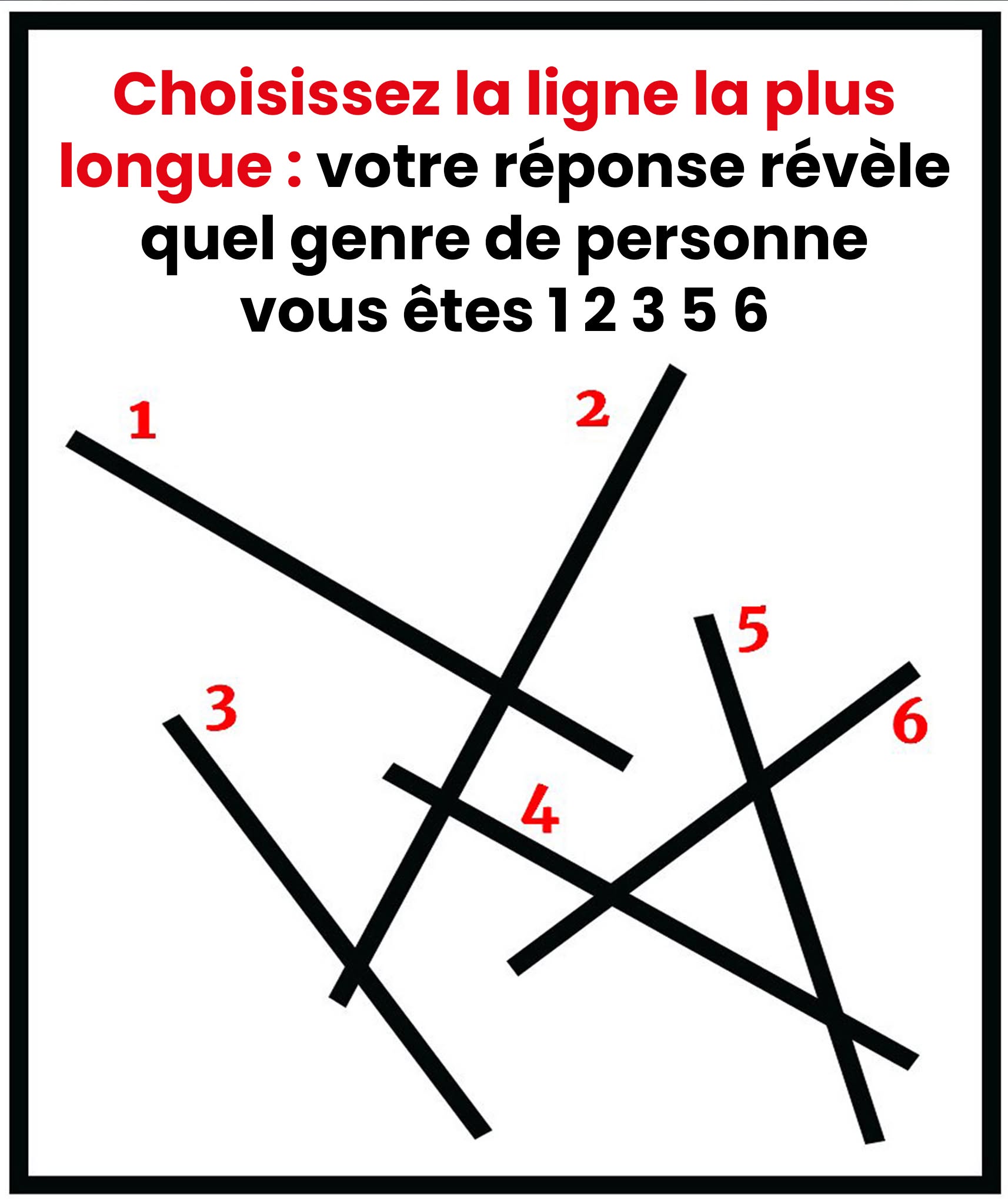 573313262 1250466903784549 1273913529933601136 n