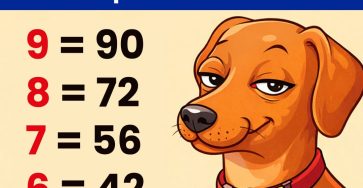 630634692 1332328385598400 6987776400710697793 n