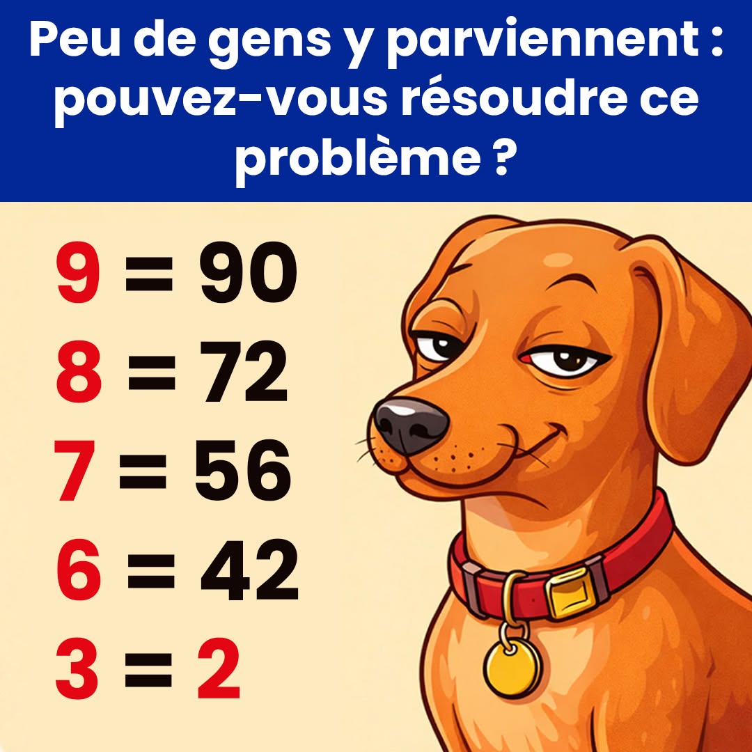 630634692 1332328385598400 6987776400710697793 n