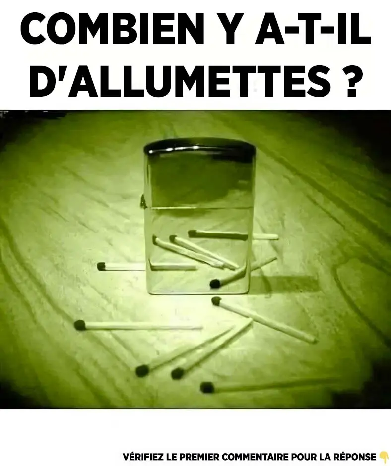 99 pourcent des gens ne trouvent pas le chat sur la photo.jpg