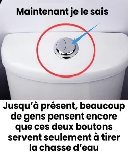 Beaucoup de gens pensent que ces deux boutons servent uniquement a tirer la chasse deau.jpg