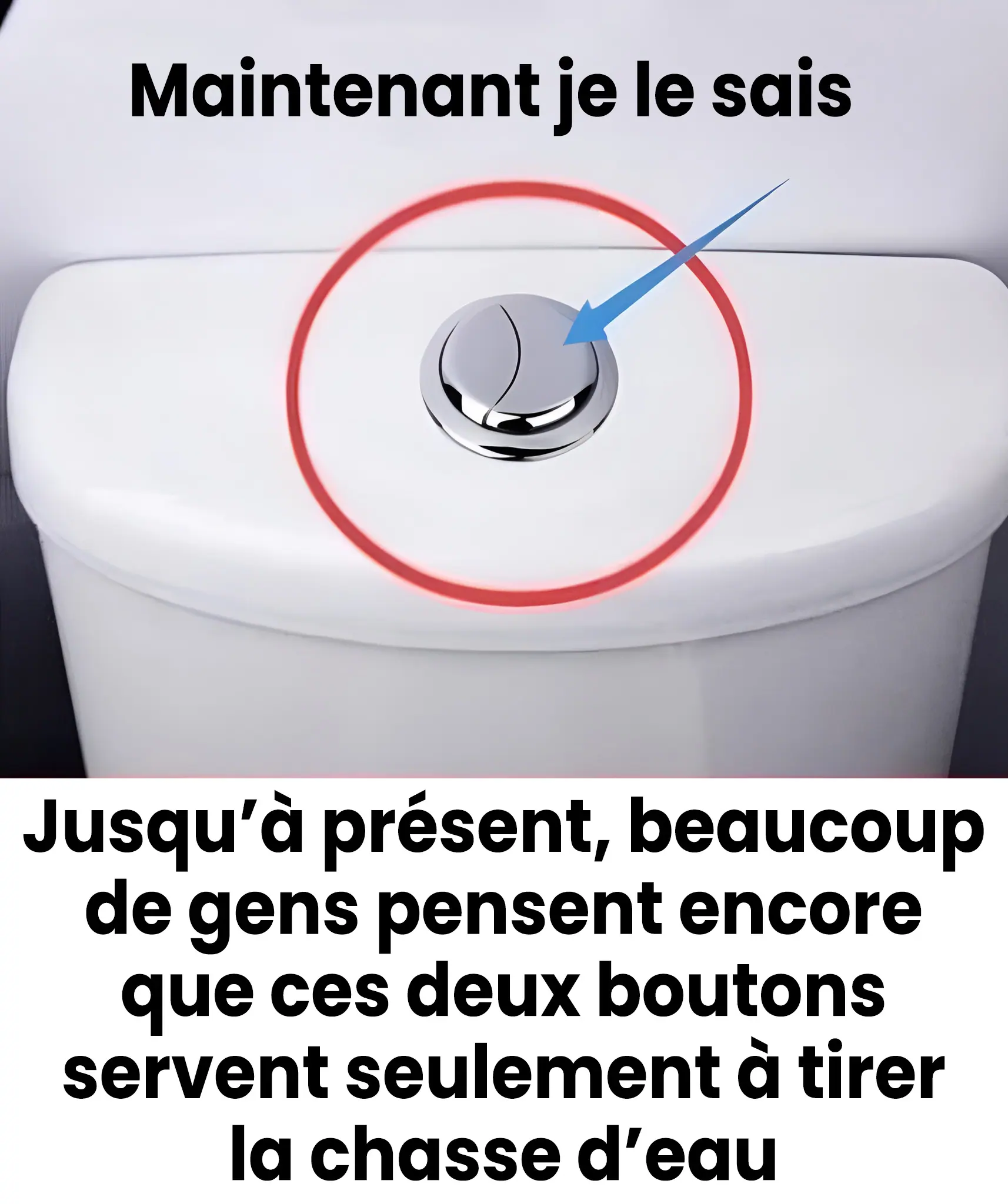Beaucoup de gens pensent que ces deux boutons servent uniquement a tirer la chasse deau.jpg