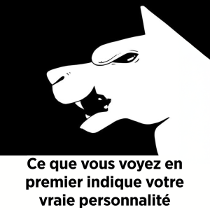 Ce que vous voyez en premier indique votre vraie personnalite