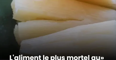Cet aliment dangereux cause la mort de 200 personnes chaque annee 1.jpg