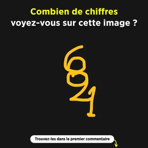 Combien de chiffres pouvez vous identifier dans cette image ce defi viral fait fureur sur les reseaux sociaux.jpg
