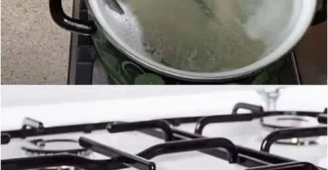 Comment nettoyer les grilles du four de maniere simple et efficace 1.jpg