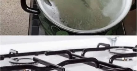 Comment nettoyer les grilles du four de maniere simple et efficace 1.jpg