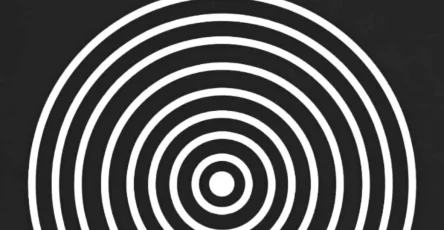 Etes vous narcissique le nombre de cercles que vous voyez pourrait le reveler.jpg