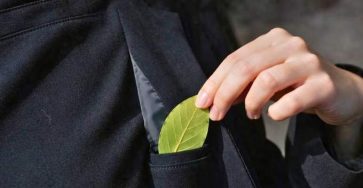 Jai mis une feuille de laurier dans ma poche et je nai plus aucun souci ma grand mere ma appris ce truc