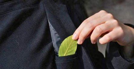 Jai mis une feuille de laurier dans ma poche et je nai plus aucun souci ma grand mere ma appris ce truc