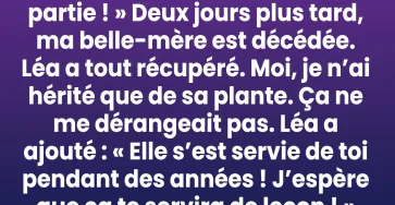 Je nai herite que dune vieille plante la verite quelle recelait a tout change.jpg