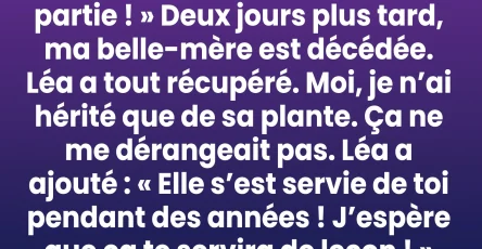 Je nai herite que dune vieille plante la verite quelle recelait a tout change.jpg