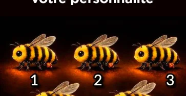 Labeille que vous choisirez en dit long sur votre personnalite.jpg