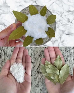Laurier sel et bicarbonate detonnants bienfaits a la maison 1.jpg