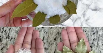 Laurier sel et bicarbonate detonnants bienfaits a la maison 1.jpg