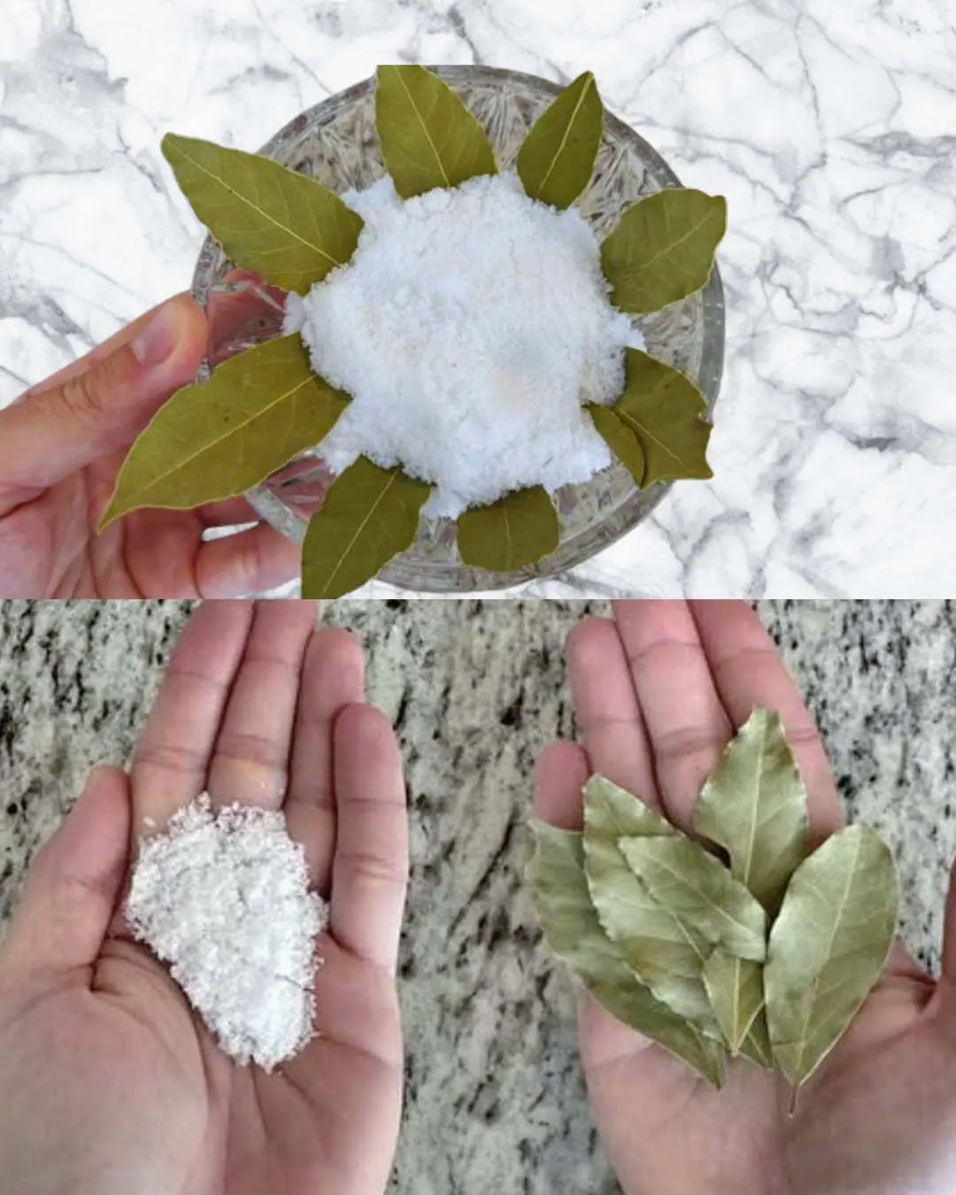 Laurier sel et bicarbonate detonnants bienfaits a la maison 1.jpg