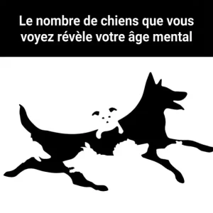 Le nombre de chiens que vous apercevez revelerait votre age mental.jpg (1)