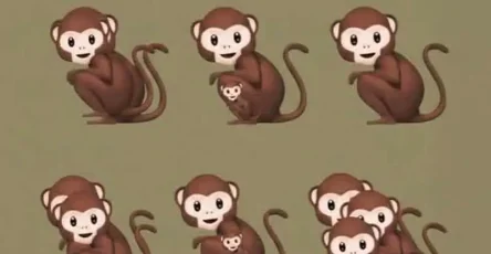 Le nombre de singes que vous voyez determine si vous etes narcissique.jpg