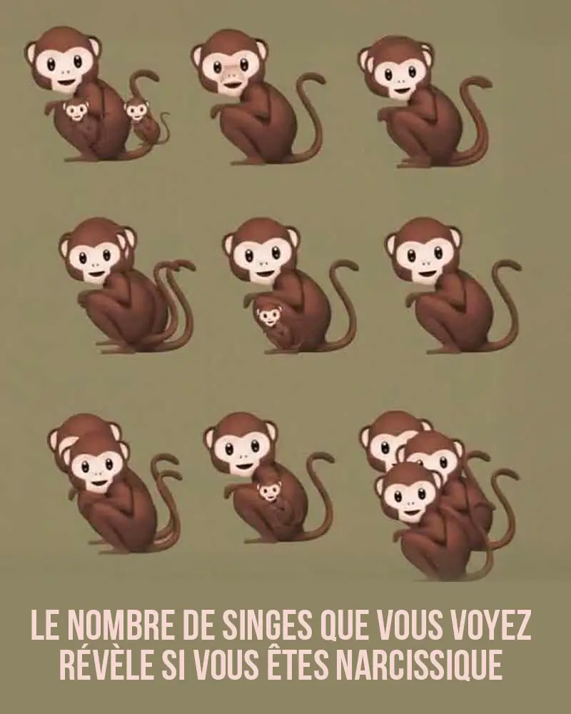 Le nombre de singes que vous voyez determine si vous etes narcissique.jpg