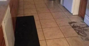 Parvenez vous a reperer le gros chien dissimule dans cette cuisine.jpg