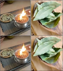 Pourquoi bruler des feuilles de laurier a la maison 1.jpg