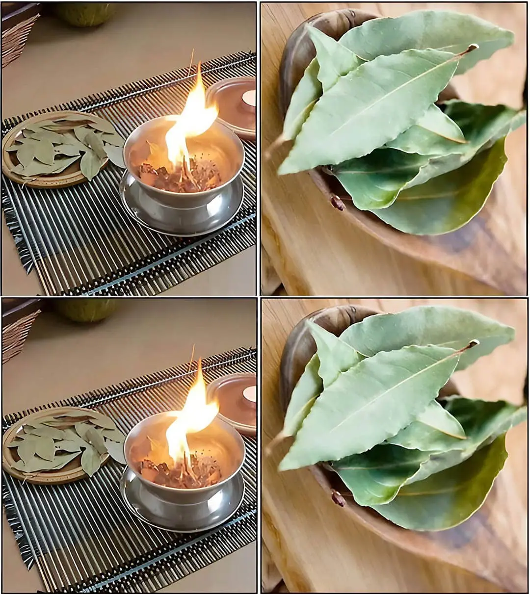 Pourquoi bruler des feuilles de laurier a la maison 1.jpg