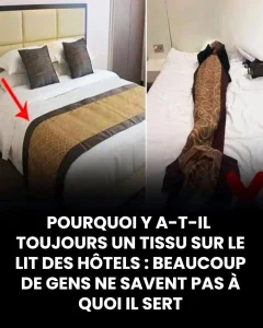 Pourquoi y a t il un tissu au bout du lit a lhotel 1.jpg