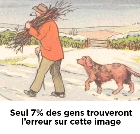 Pouvez vous reperer lerreur dans cette scene enneigee.jpg