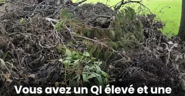 Pouvez vous trouver le chien cache seules les personnes avec une vision de sniper y parviennent 1.jpg