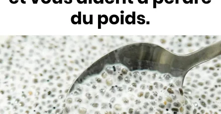 Proprietes des graines de chia calories bienfaits et contre indications.jpg