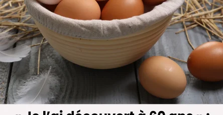 Quelle est la difference entre les oeufs blancs et les oeufs bruns.jpg
