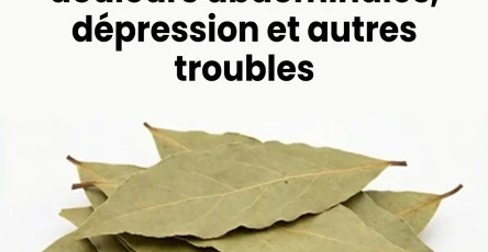 Recette a base de feuilles de laurier un remede traditionnel.jpg