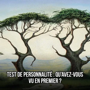 Test de personnalite quavez vous vu en premier.jpg