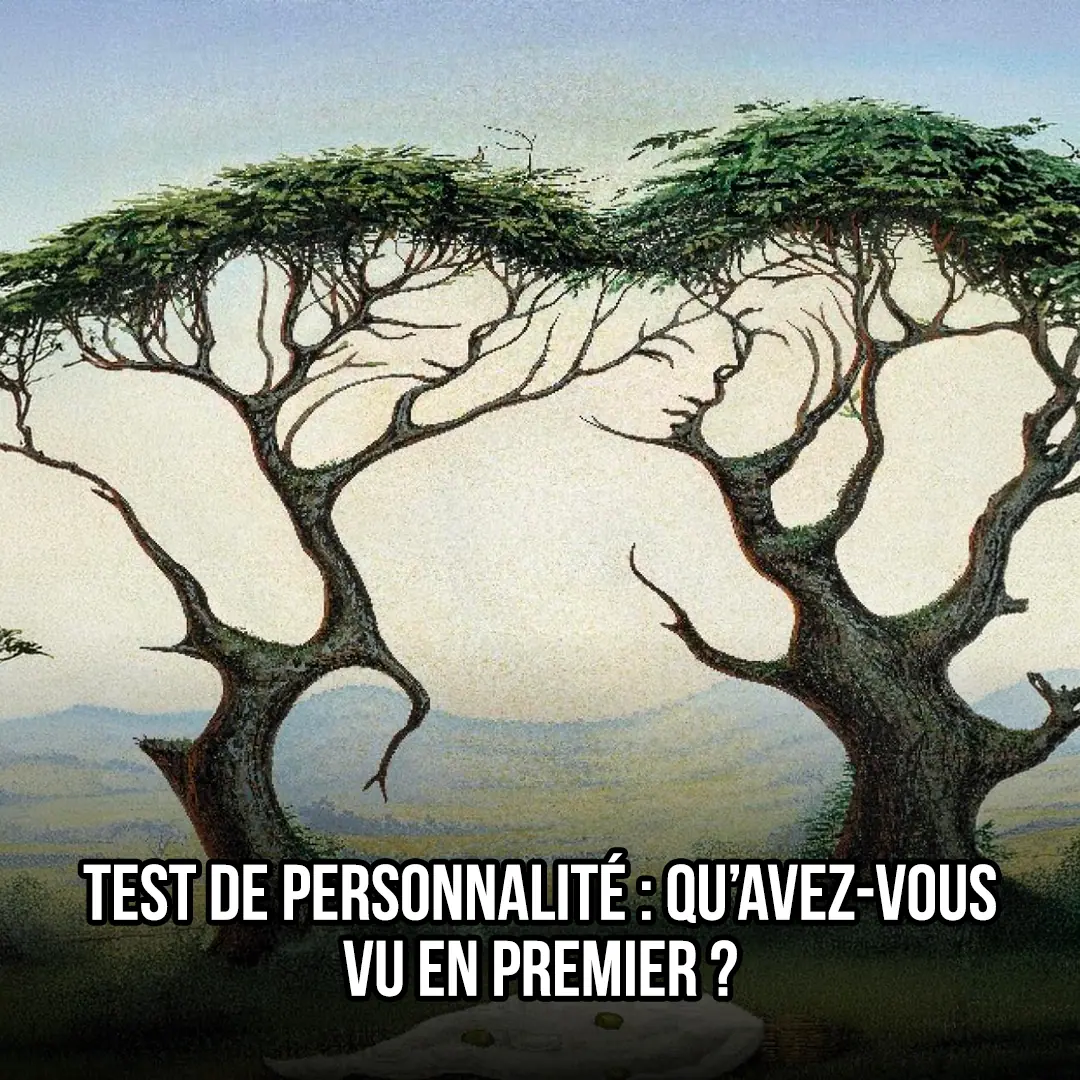 Test de personnalite quavez vous vu en premier.jpg