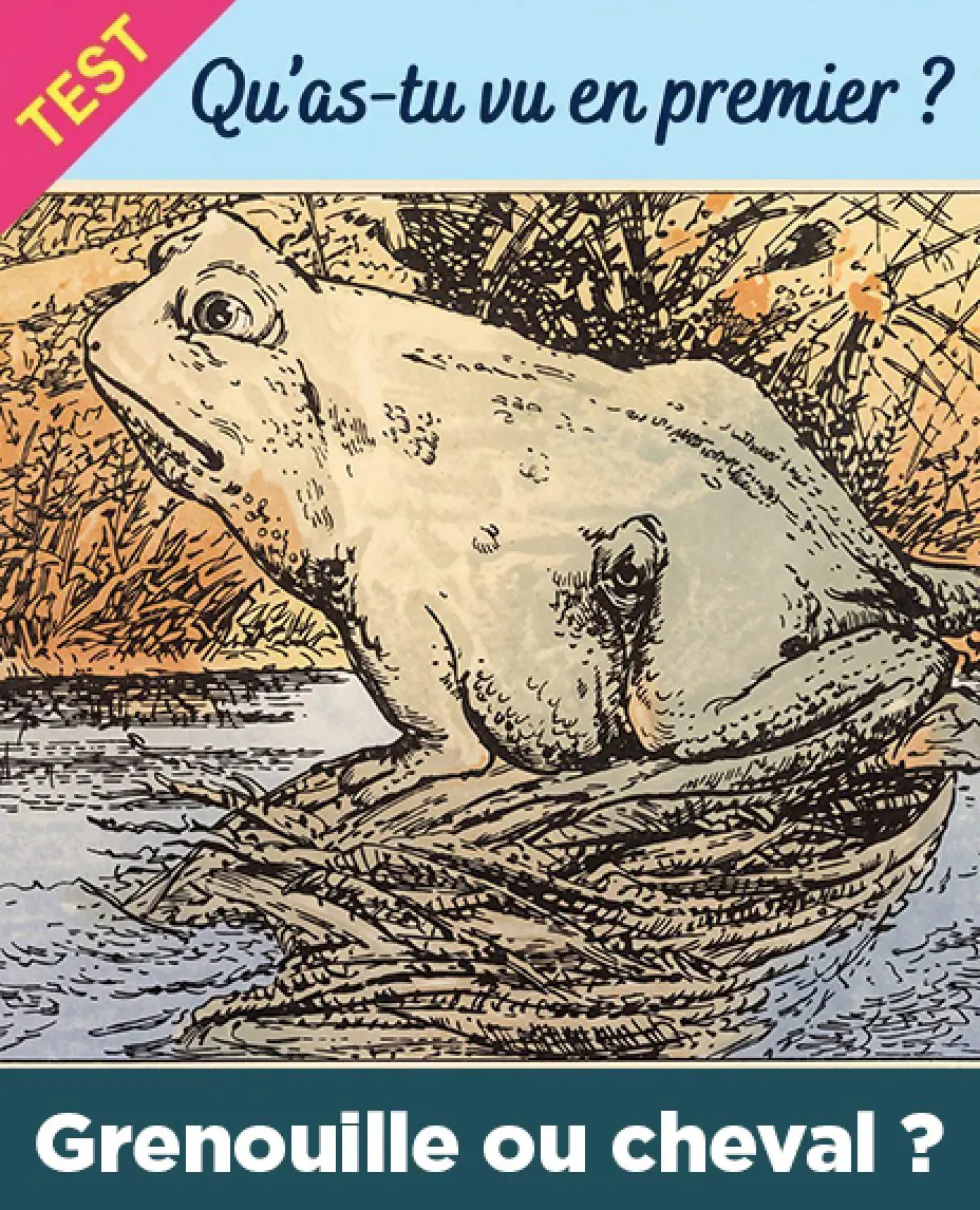 Test quavez vous vu en premier une grenouille ou un cheval votre reponse en dit long sur vous.jpg