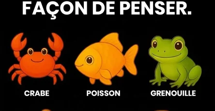 Trouvez lintrus permet de mieux comprendre votre facon de penser.jpg