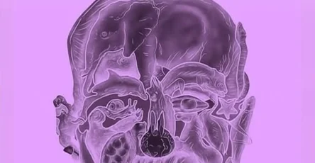 Un test visuel curieux qui promet de reveler votre pire defaut en fonction du premier animal que vous voyez.jpg