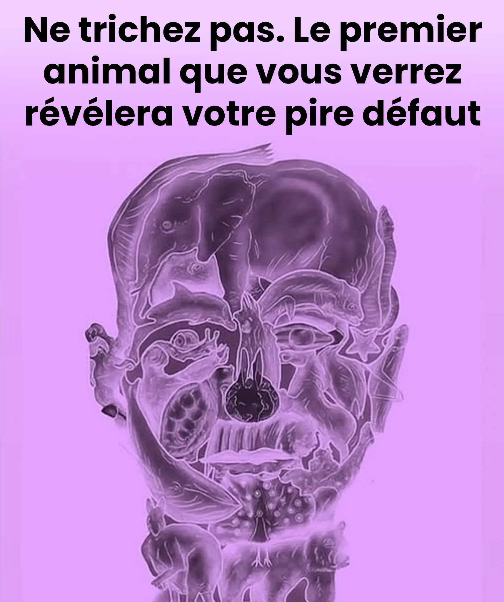 Un test visuel curieux qui promet de reveler votre pire defaut en fonction du premier animal que vous voyez.jpg