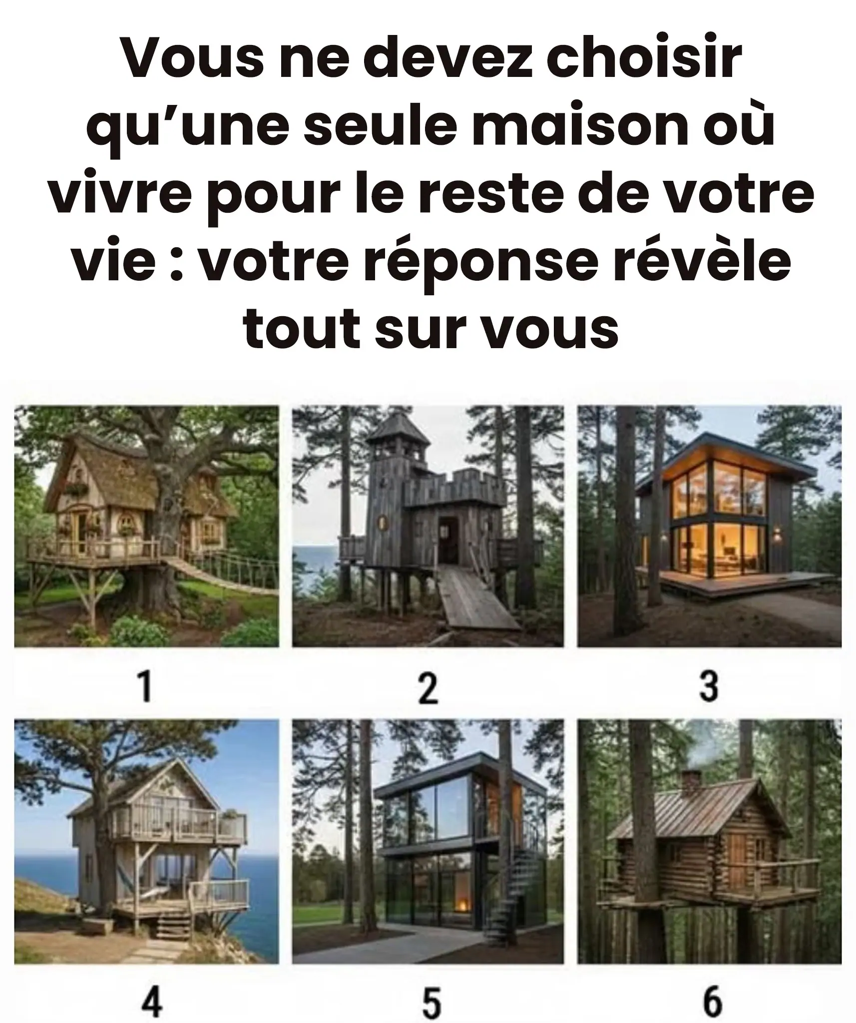 Vous ne devez choisir quune seule maison ou vivre pour le restant de vos jours votre reponse revele tout de vous.jpg