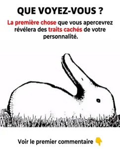 Voyez vous un canard ou un lapin ce que vous voyez en premier revelera des aspects caches de votre ame.jpg