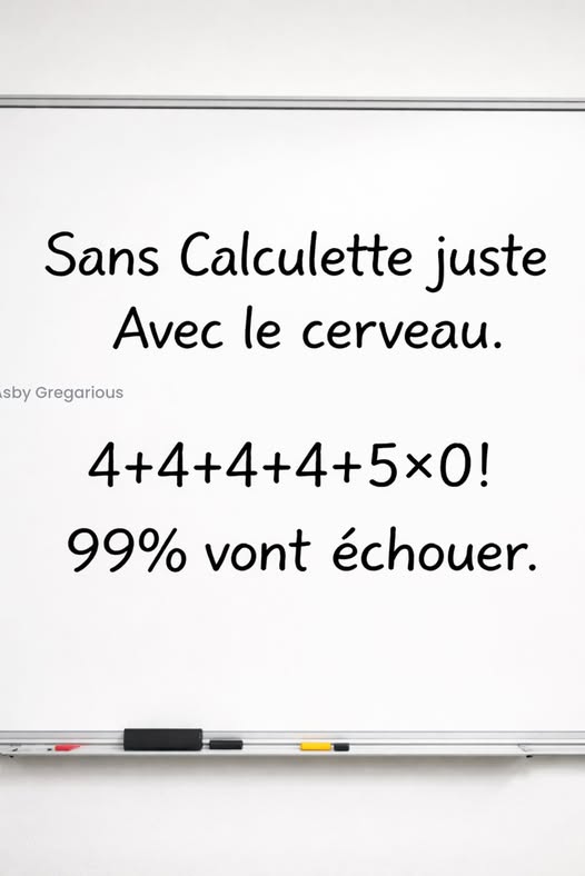 672039027 4108182549325866 8771321405656874596 n