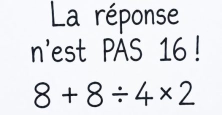 758037438 2206161073450309 3230252324518243807 n