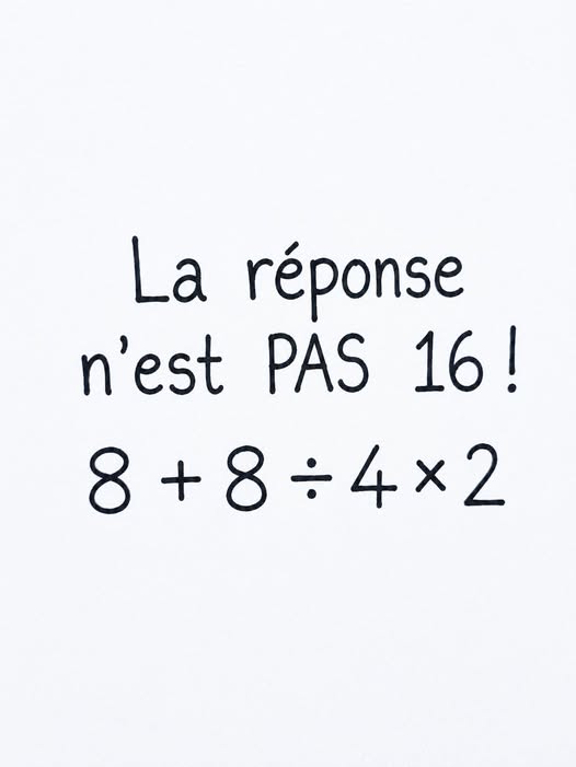 758037438 2206161073450309 3230252324518243807 n