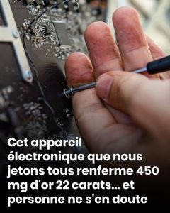 758874905 968722456173878 3764347302594620481 n