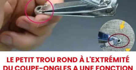 Petit trou rond a lextremite du coupe ongles quelle utilite.jpg
